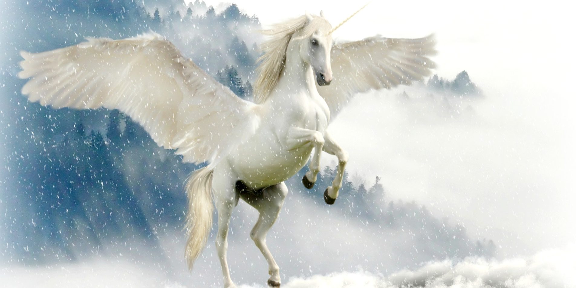 How I ‘Became a Writer,’ or alternatively, Buckets of Unicorns